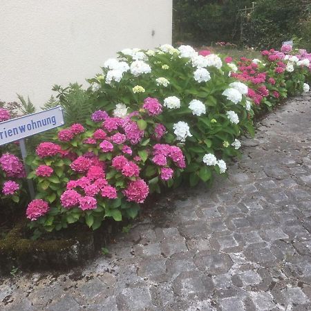 Ferienwohnung Sponheim Трабен-Трарбах Екстериор снимка